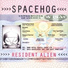 Spacehog