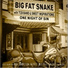 Big Fat Snake feat. Steen Jørgensen