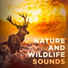 Nature Sound Collection, Sons da Natureza, Listen and Relax