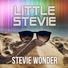 Stevie Wonder & Take 6