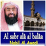 Nabil Al Awadi