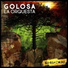 Golosa la Orquesta feat. Kevin Johansen