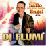 DJ FLUMI