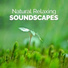 Nature Sound Collection, Nature Sounds, Sound Library XL, Nature Sound Ambience, Nature Spa, Dreams of Nature, Relaxing With Sounds of Nature and Spa Music Natural White Noise Sound Therapy, Massage Tribe, The Umbrella Research Collective, Natural Forest Sounds, Sleep Music with Nature Sounds Relaxation, Green Meditation Sound Collectors, Sounds of Nature for Deep Sleep and Relaxation, Nature Sounds for Sleep and Relaxation, Nature Sounds Relaxing, The Healing Sounds of Nature, Massage Music, Nature Moods, Sleep Sound Library, Spa Music 2016, Zen Natural Meditation, Tranquil Music Sounds of Nature, Relaxing Nature Ambience, Healing Sounds for Deep Sleep and Relaxation, Nature Spa Meditation Music, Sounds of Nature White Noise for Mindfulness, Meditation and Relaxation, The Field Recording Collective, Ambiance nature, Natural Sounds, Rest & Relax Nature Sounds Artists, Nature Sounds 2015, Meditation Spa, Nature Sounds Meditation, Nature Sounds Sleep, The Sounds of Earth Group, Natural Concentration Sounds, Ambient Nature Sounds, Soundscapes!, Bruits naturels, Sounds of Nature Relaxation, Outside Broadcast Recordings