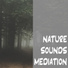 Nature Sounds