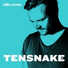 Tensnake feat. Nile Rodgers, Fiora