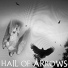 Hail Of Arrows