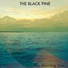 The Black Pine