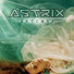 Astrix, Infected Mushroom