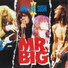 Mr. Big