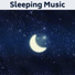 Sleeping Birds Music