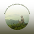 Calming Music Sanctuary, Guided Meditation Music Zone, Yoga Sounds