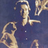 Steve Winwood/Steve Winwood