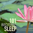 Bedtime Songs Collective & Deep Sleep