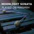 Moonlight Sonata, Mondscheinsonate, Marimba Guy