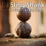 DJ Sling Shank and the Generous Rap Beats