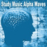 Study Music Alpha Waves