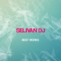 Selivan Dj