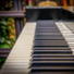 Gym Piano, Tranquil Music Sound of Nature, Piano Bar Music Specialists