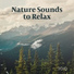 Echoes of Nature, Relaxing Music