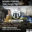 Sound Forces feat. Sergey Hromov