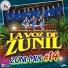 Marimba Orquesta La Voz de Zunil