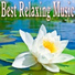 Meditacao Clube, The New Age Meditators, Sweet Dreams Sleep Music, Deep Sleep, Música a Relajarse, Zen Music Meditation, All Night Sleep Songs to Help You Relax, Healing Music 2015, World Music for the New Age, Deep Sleep Systems, Relaxing Yoga Music, Yoga for Inner Peace, Massage Tribe, Entspannungsmusik, Musica de Yoga, Musica de Relajación Academy, Asian Zen, Chakra Balancing Sound Therapy, Chakra Meditation Specialists, New Age, Musica Para Meditar, Ambient, Meditation, Japanese Relaxation and Meditation, Tai Chi And Qigong, Saludo al Sole Musica Relax, New Age Spa Relaxation, Deep Sleep Meditation, Yoga, Lullabies for Deep Meditation, Yoga Workout Music, Relaxation, Musica Relajante New Age Culture, Easy Sleep Music, Reiki, Meditation Spa, Music For Absolute Sleep, Yoga Music, Zen, Meditation Zen Master, Yoga Tribe, Musica Para Dormir Profundamente, Dormir, Deep Sleep Relaxation, Reiki Tribe, Healing Therapy Music, All Night Sleeping Songs to Help You Relax, Massage Therapy Music, Massage, Soothing Music for Sleep, Spiritual Yoga Harmony, Relaxing Meditation Music, Easy Listening Ambient, Spiritual Awakening Music, Yoga Class Music, Positive Thinking: Music to Develop a Complete Meditation Mindset, Serenity Relaxing Spa, Healing Sleep Music, Relaxing New Age Meditation, Asian Zen Spa Music Meditation, RELAX, Nadi, Relaxing Music