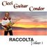 Cicci Guitar Condor