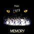 Cats Musical Project