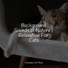 Jazz Music for Cats, Cat Music Experience, Jazz Music Therapy For Cats