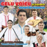 Gelu Voicu feat. Taraful Lăutarii Din Teleorman