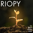 RIOPY