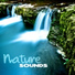 Nature Sounds