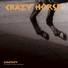 Crazy Horse