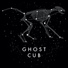 Ghost Cub