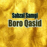 Sabzal Samgi