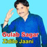 Gulab Sagar