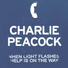 Charlie Peacock - (2018) When Light Flashes Help Is On The Way