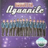 Orquesta Aguanile