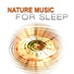 Restful Sleep Music Collection