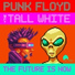 Punk Floyd & The Tall White