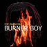 Burner Boy