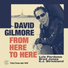 David Gilmore