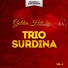 Trio Surdina