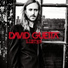 David Guetta feat. Skylar Grey