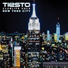 Tiësto & The Disco Fries