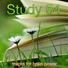 Exam Study Classical Music Orchestra & Breathe & Musica para Estudiar