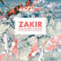 Zakir feat. Alex Ronin