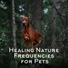 Pet Music Academy, Soundscapes!, Healing Power Natural Sounds Oasis