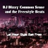 DJ Dizzy Common Sense and the Freestyle Beats